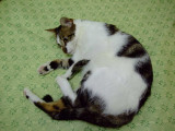 DSCF2456.JPG