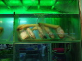 DSCF2738.JPG