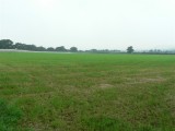 The massive new Dairy Ground camping field