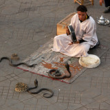 Snake charmer