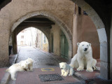 Polar bears  07