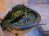 Fountain  2