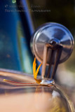 Leaf on a  62 Chrysler 300