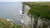 Bempton Cliffs