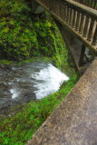 Columbia Gorge Waterfalls_28.JPG