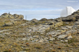 calar01.jpg