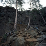 Cliff and trees on Valaam