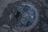 Manhole cover and poplar pollen