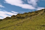Elevation view of Vira Vira