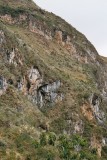 The impressive Inca stairway connecting Las Quinoas to Bolivar