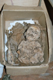 Baby mummy found in a mausoleum close to Uchucmarca