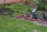 the bird watcher....