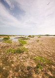 _DSC8057.jpg