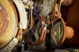BF5T9246.jpg