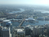 View from Sydney Tower