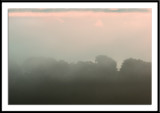 Morning Mists