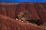 red rocks landscape