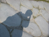 My shadow