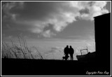 Beach Walkers