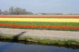 Keukenhof2n.jpg