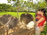 Jardim Japons em Caldas Novas GO