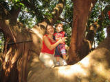 Jardim Japons em Caldas Novas GO
