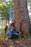 Ancient Hemlocks: Tsuga canadensis