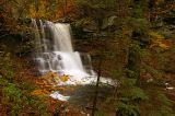 Sheldon Reynolds Fall, 36ft