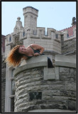 Rapunzel lets down her hair at Casa Loma, Toronto