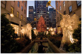 Rockefeller Center Christmas Tree  2