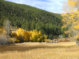 Colorado IMG_5386