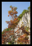 Durbuy, Fall colours