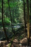 Gunpowder Falls