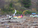 2006111937.jpg
