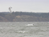 2006111960.jpg