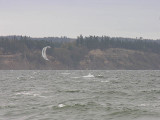 2006111961.jpg