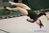 Gymnastics - College