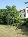 I and the 22 jungle-gym in our neighborhood park