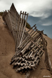 Imagine a world without fences