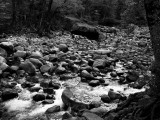 Rocky Riverbed