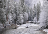 Early morning Merced River