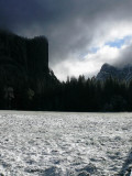 Snowy meadow