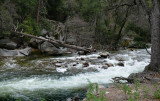 The Merced River
