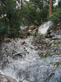 The root to Sierra Point?