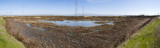 Stevens Creek Slough