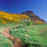 Arthurs Seat from Muir Burn