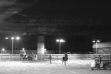 Riding school under the Westway