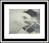 Wildcat Creek Eagle