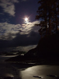 Moonlight over Chesterman Beach
