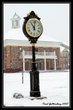 Town Hall Clock